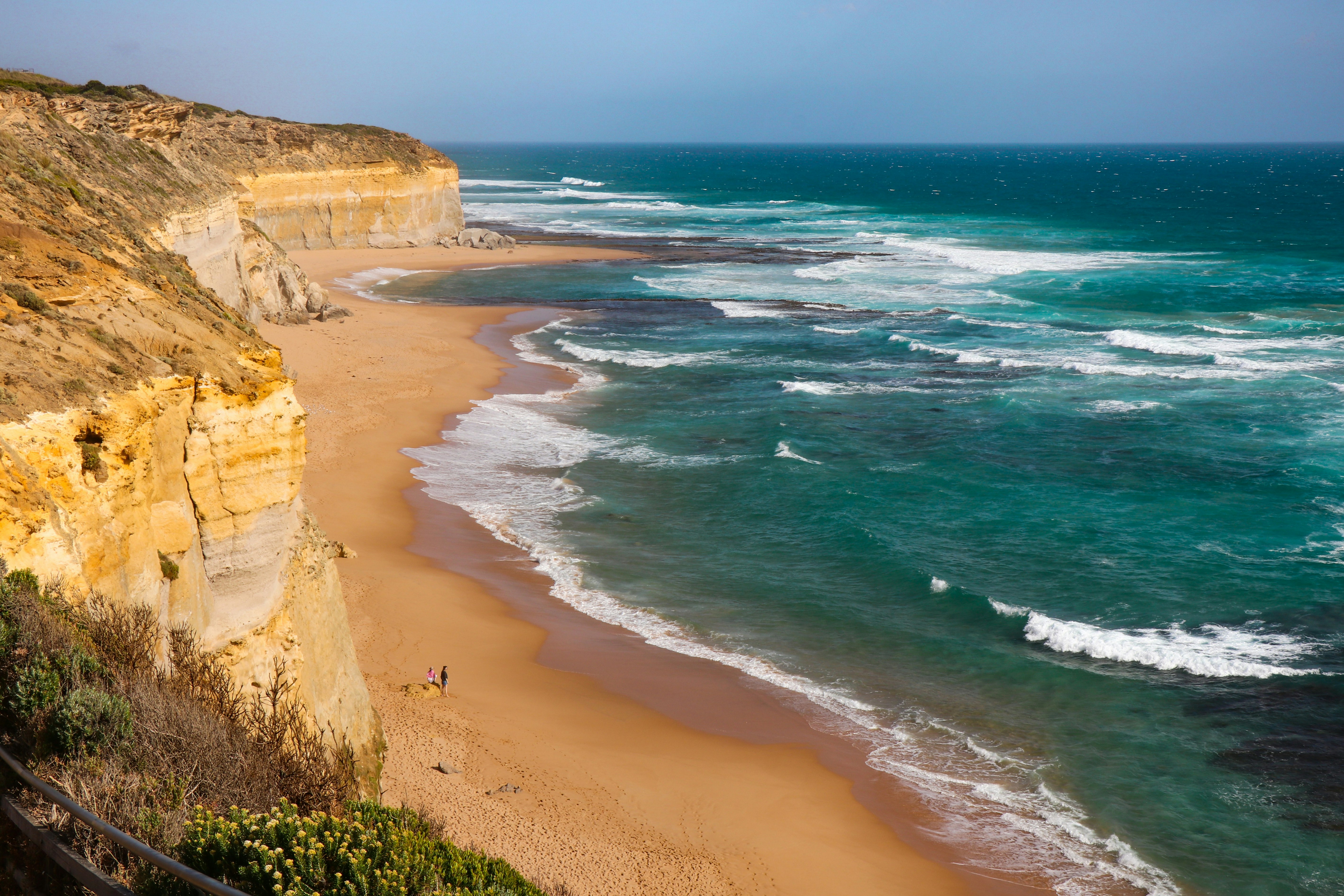 wide-angle photography of seashore during daytime